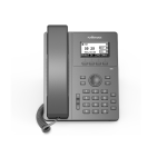 Flyingvoice P10 High Performance IP Phone