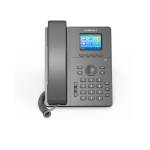 Flyingvoice P11 Color Screen Entry-level IP Phone